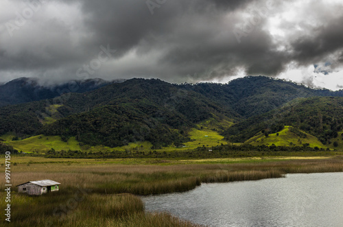 Paisaje en bosque y laguna