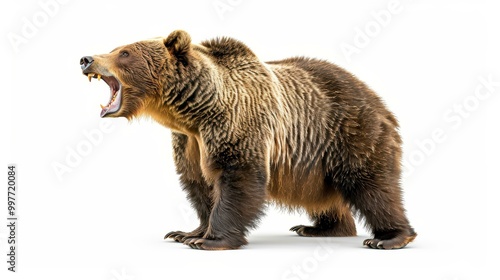 A powerful image of a grizzly bear embodies raw strength and grace, set against a simple, elegant backdrop.