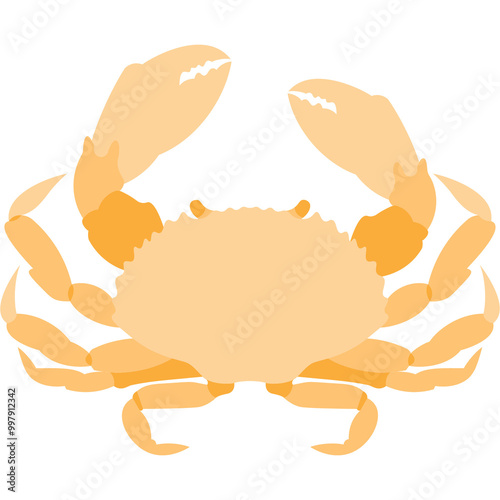 Crab Illustration