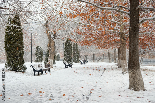 autumn park with first snow and fallen leaves. beautiful landscape of late autumn or early winter season. cold frozen weather