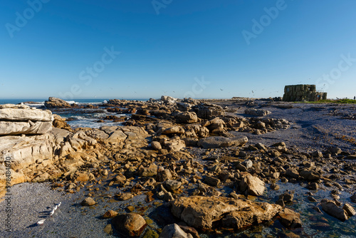 View of Bird Island, location of onf of 3 Cape gannet (Morus capensis) colonies in South Africa.Lambert's Bay, Western Cape.