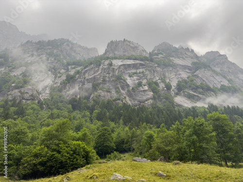 A misty mountain landscape featuring dense green forests and towering rocky cliffs shrouded in fog capturing the serene and mysterious beauty of nature. Location: Italian Alps, Val Di Mello.