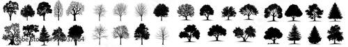 Tree black silhouettes set. Oak birch alder maple. Oak birch alder maple. Side view. Landscape design elements. Isolated modern clipart.