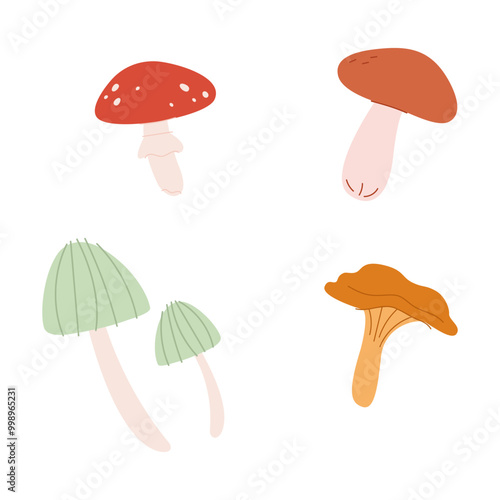 Autumn edible and inedible mushrooms. Birch boletus, fly agaric and chanterelle. Fresh fall forest food. Seasonal fungi