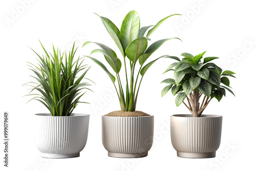 Realistic minimal houseplant pots, isolated on a transparent background png