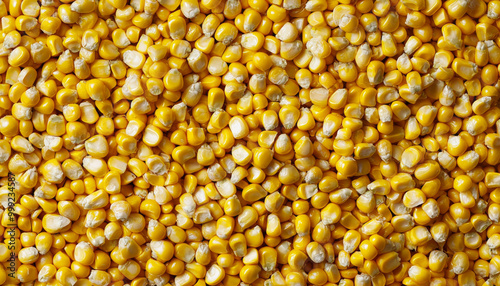 A close-up view of yellow corn kernels, showcasing their texture and color, commonly used for food production.