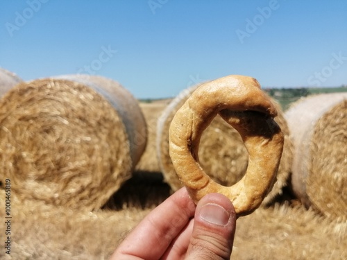 Tarallo sovrapposto a balla di fieno forma circolare cilindro natura perfezione contadino mantiene taralli