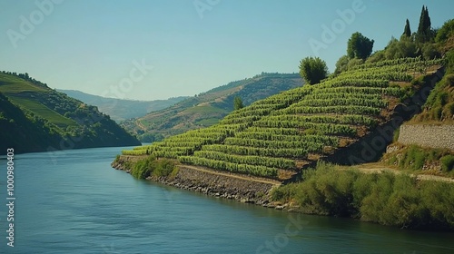 Portuguese Douro River Valley wineries.