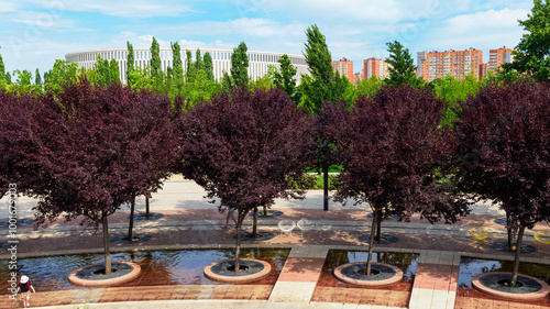 in the Krasnodar Park in summer