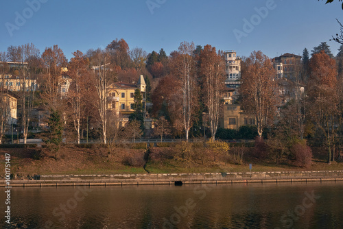 Urban view of central street of Turin