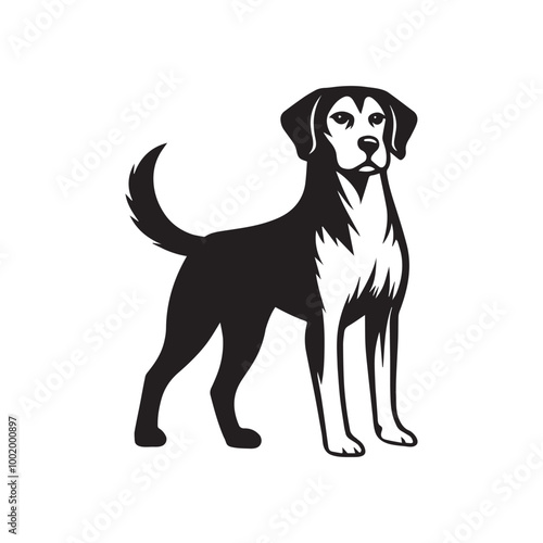 Harrier Dog Clipart Design - Harrier Vector illustration in black and white 