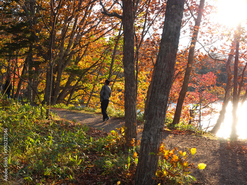 The nature trails at Lake Akan, Hokkaido, Japan.