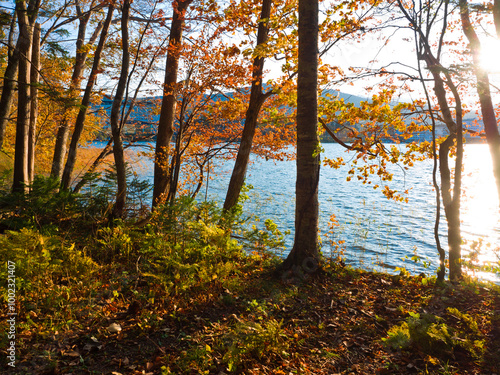 The nature trails at Lake Akan, Hokkaido, Japan.