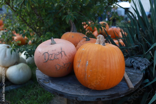 On the ripe pumpkin is scratched out a greeting in Polish, “Good afternoon”. Engraved pumpkin. Dzień Dobry.