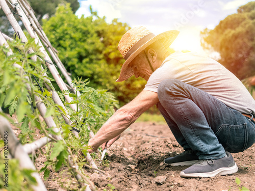 Man gardening with straw hat in sunlight