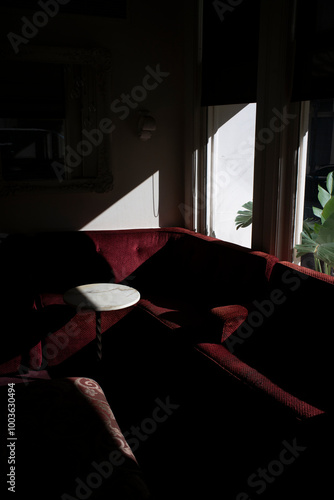 Seating area with dramatic early morning window light vertical