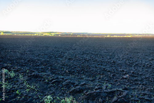 Forest-steppe chernozem (black humus earth, orthic black soil) at springtime. Underwinter ploughing. Central European Russia