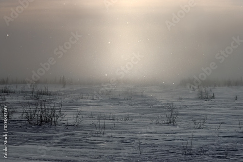 Republic of Komi tundra landscape. Coal, gas, oil and Gulag prison camps are located on this land