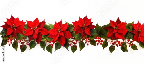 Red poinsettia flowers border plant christmas pattern.