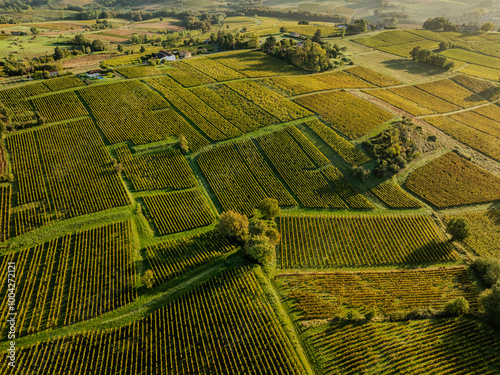 Aerial view, Bordeaux vineyard, landscape vineyard south west of france, Sainte-Croix-du-Mont, High quality photo