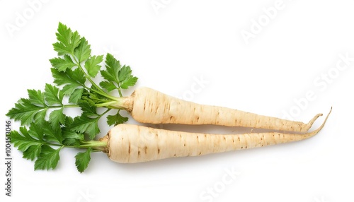 parsnip - Pastinaca sativa - is a tap root taproot vegetable closely related to carrot and parsley and can be cooked but can also be eaten raw. The flesh has a sweet flavor. Isolated on white