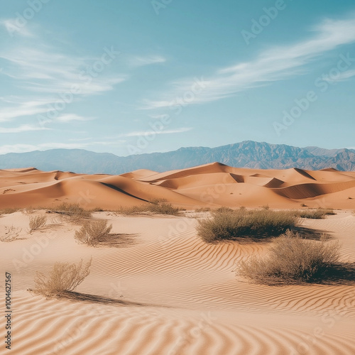 Striking Desert Landscape Under Brilliant Sun