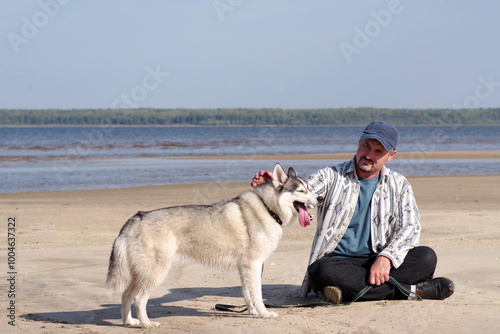 adult mature person with his pet together on a walk. Siberian husky and its owner on the beach on a sunny day.