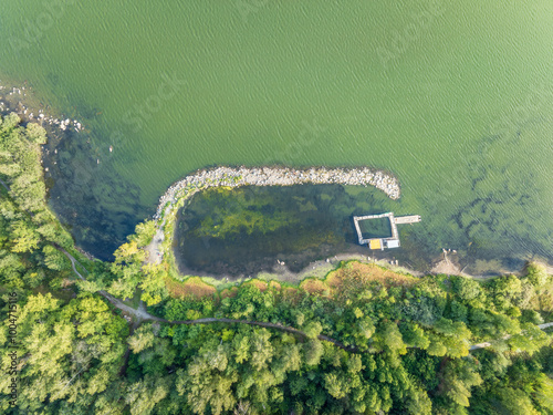 Aerial view of lake or river green shore with forest. Summer season.