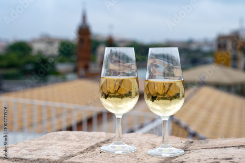 Sherry fino wine tasting on roof of old Triana district in Sevilla with view on Sevilla houses and churches, wine glasses