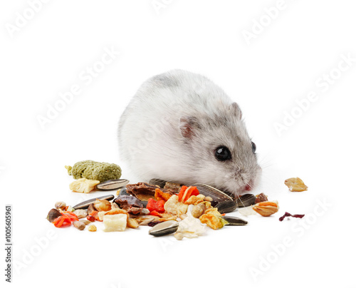 A cute gray hamster enjoying a mix of seeds and grains on a white background