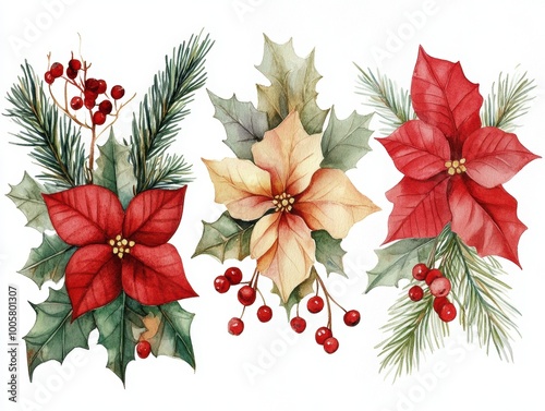 Christmas Watercolor Flower Set on White Background