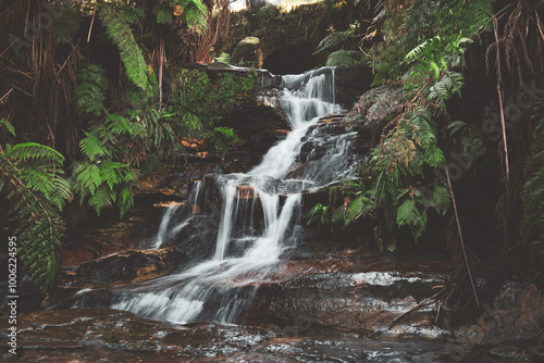 Waterfall in the rainforest of Australia