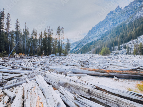 Lake of fallen trees in The Enchantments in Leavenworth, WA