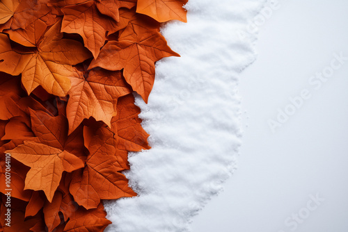 A diagonal split between a bed of vivid orange autumn leaves and pristine white snow.The sharp contrast between the two halves highlights the transition between autumn and winter,seasons in minimalist