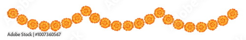 Yellow orange marigold flowers border. Indian traditional floral festive garland toran. Zendu flowers isolated on background Party decor for Halloween, Dia de los Muertos holiday. Vector illustration