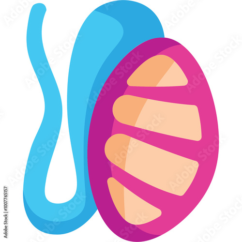 Testis Illustration