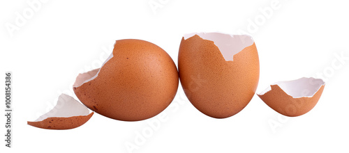 Separated eggshell on a white background.