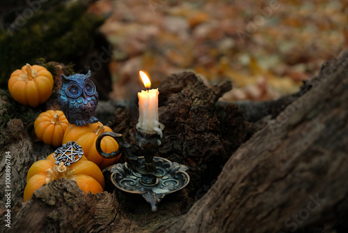 decorative pumpkins and owl figurine and burn candle in autumn forest, dark abstract background. mystery fairy scene. samhain sabbat, Halloween holiday. Witchcraft, magic. esoteric spiritual ritual.