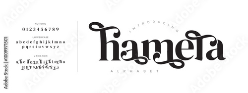 Hamera typography beauty fashion elegant minimalist serif italic fonts decorative wedding vintage retro logos. Minimal luxury font alphabet logo. Vector illustration