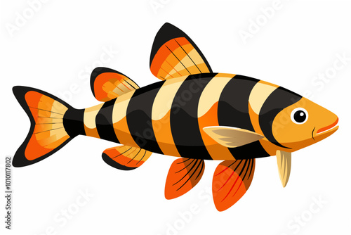 Clown loach fish vector illustration