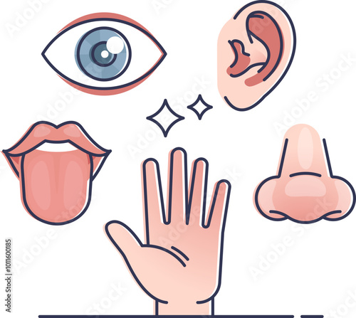 Illustration of five senses: sight, hearing, taste, touch, and smell, representing sensory memory.