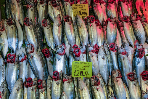 Atlantic bonito fish stall, also known in Turkey as Palamut, at Kadikoy market in Istanbul, Turkey.