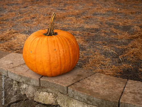 Dynia Halloween dekoracja, duża dynia