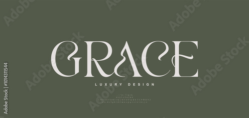 Modern elegant beauty font alphabet logo. Typography beautiful minimal classic luxury letter serif fonts fashion wedding vintage retro logos. vector illustration