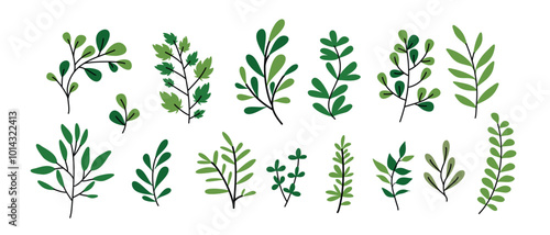 Leaf vector set, elements for design , Leaves on White Background