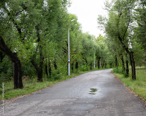 View of a small river with trees in the background and cloudy sky in the Victory Park of the city of Omsk summer