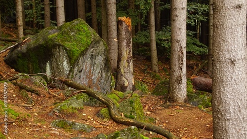 Slężański Park Krajobrazowy