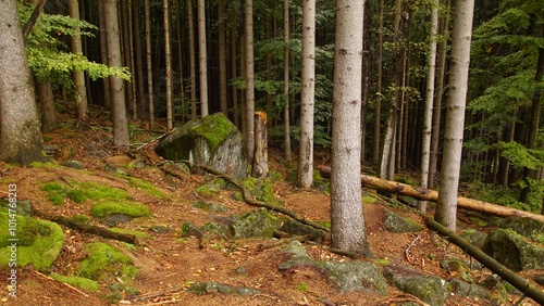 Slężański Park Krajobrazowy