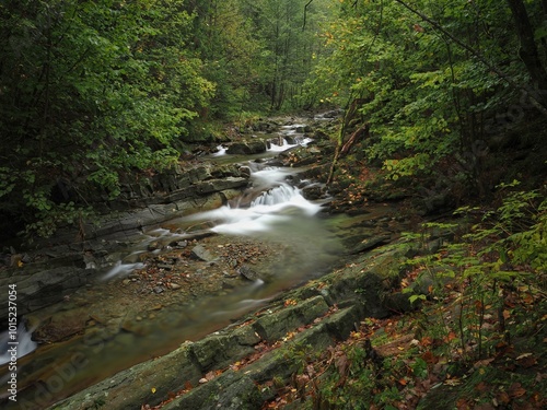 Dolina Zimnika - Beskid Śląski Górski potok z kaskadami