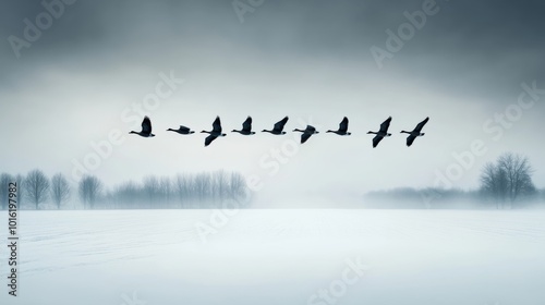 Flock of geese flying in V-formation over a snowy field, their dark bodies outlined against a pale winter sky, low clouds heavy with snow 